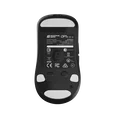 Endgame Gear OP1W 4K v2 Wireless Mouse image number null