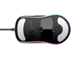 Endgame Gear XM1 RGB Gaming-Maus Dark Frost image number null
