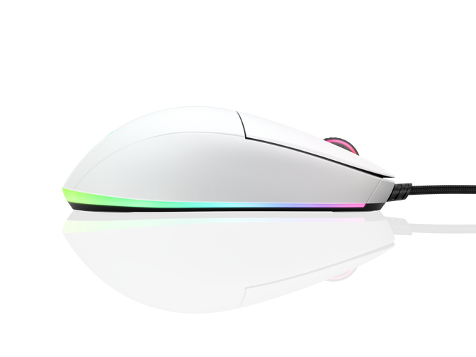 Endgame Gear XM1 RGB Gaming Maus Wei&szlig; image number 1