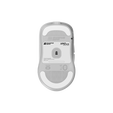 Endgame Gear XM2w 4K Wireless Gaming Mouse White Frost image number null