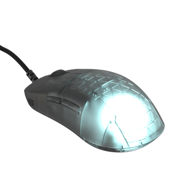 Endgame Gear OP1 RGB Gamingmaus Dark Frost