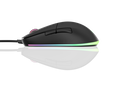 Endgame Gear XM1 RGB Gaming Mouse Schwarz image number null