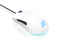 Endgame Gear XM1 RGB Gaming Maus Wei&szlig; image number null